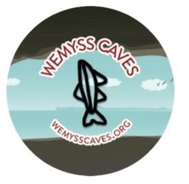 Badge - Fish